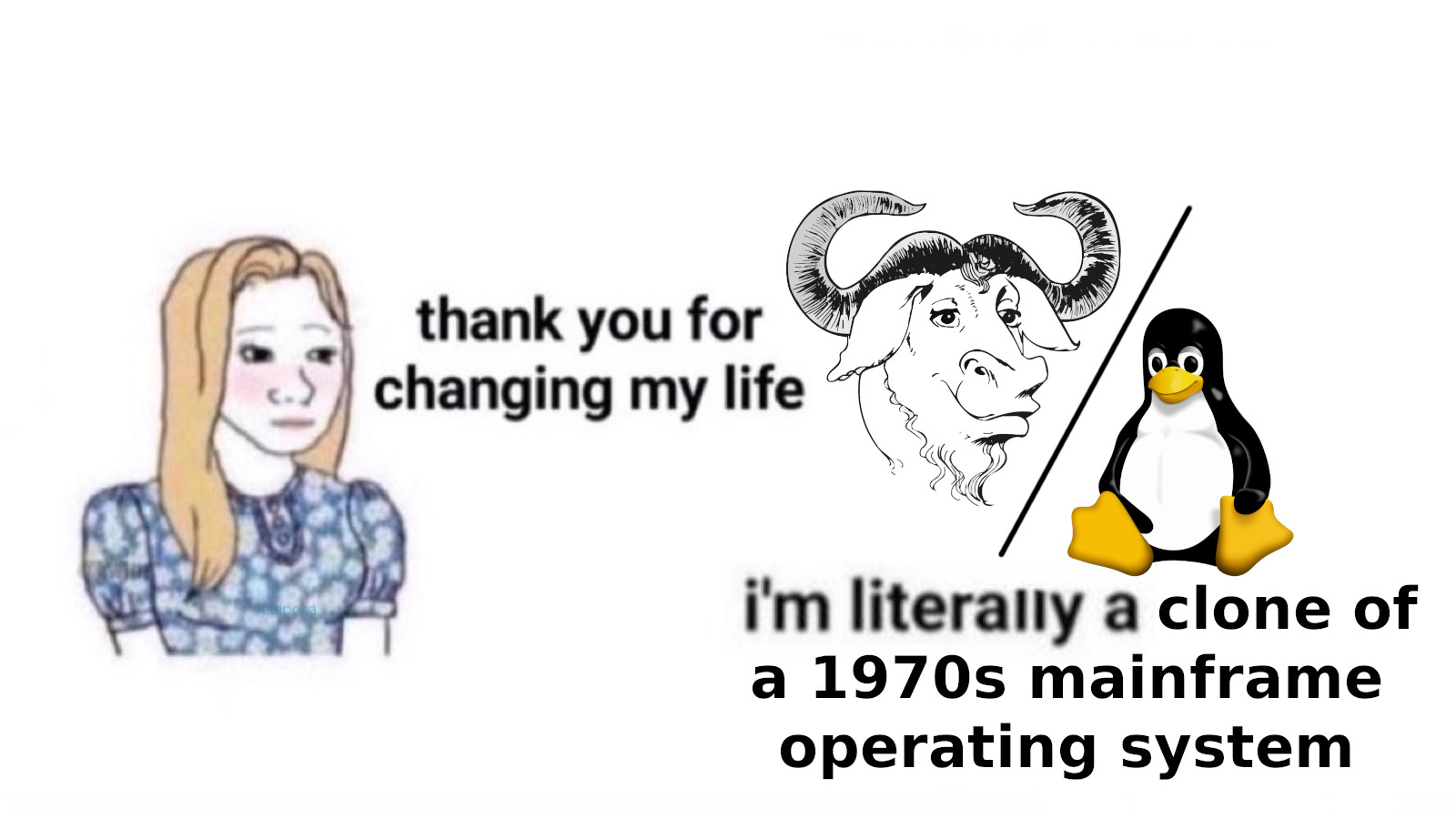 GNU meme